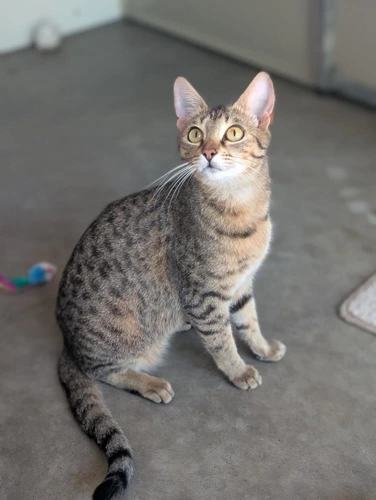Zoe