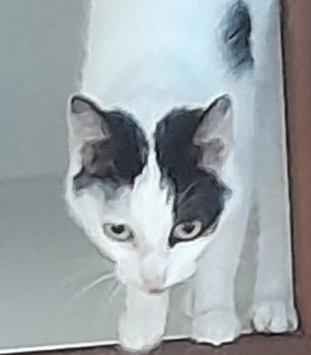 Tiny