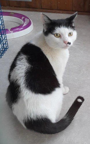 Max