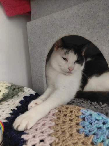 Ezio
