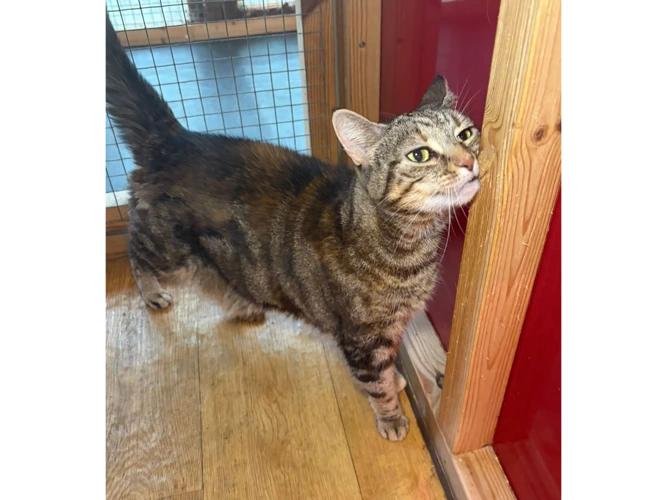 Mildred