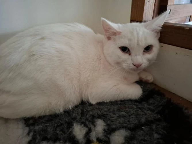 Casper