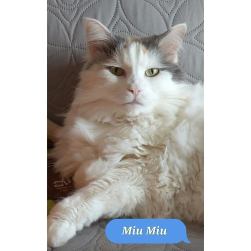 MiuMiu and Micheal