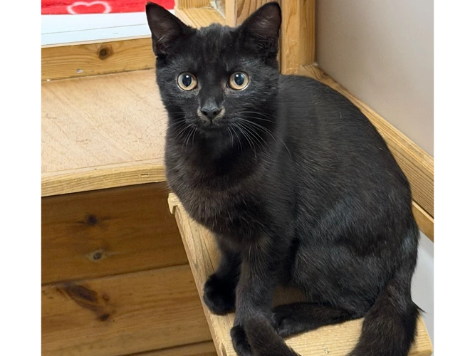 4-month-old Carlos