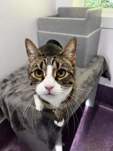 Sammy