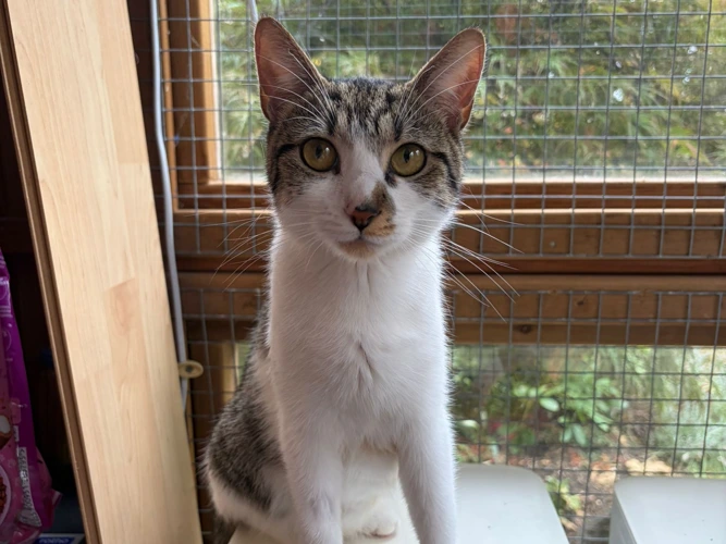 1-year-old Annabelle