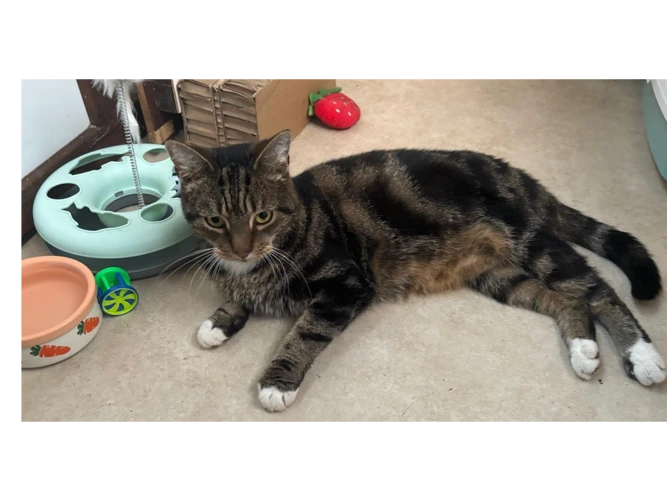 leroy