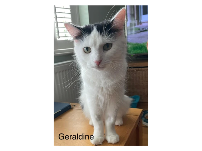 Geraldine