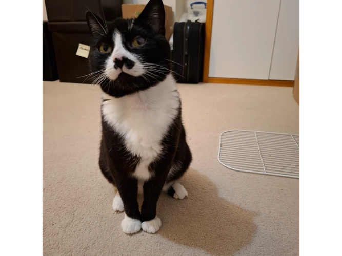 Sophie
