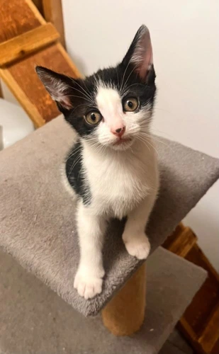 Luna