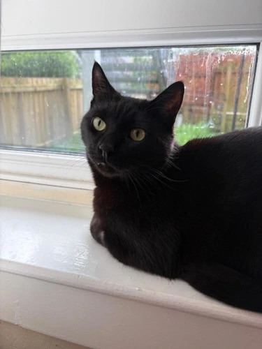 Pablo