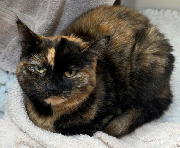 Matilda