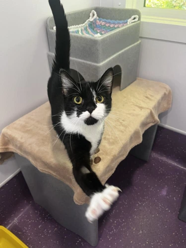 Marilyn