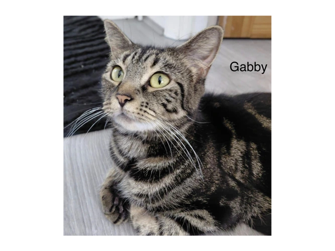 Gabby