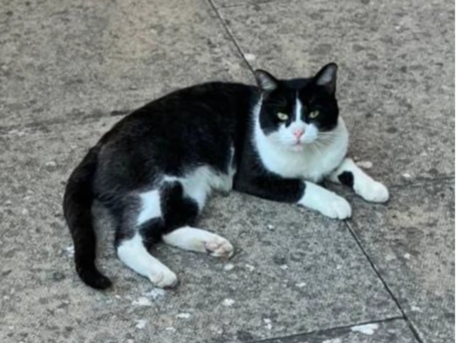 Tom