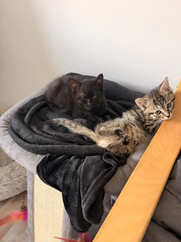 Olly and Annie