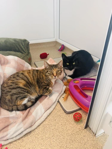 Millie and Kiki