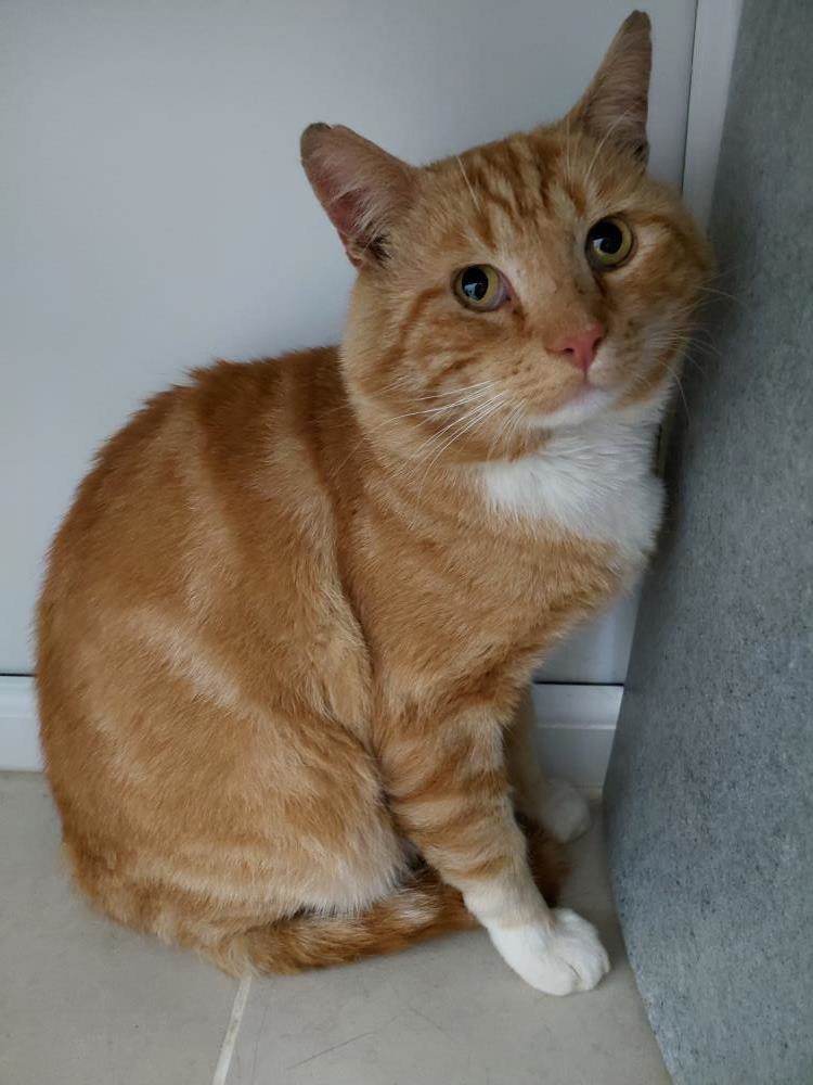 George