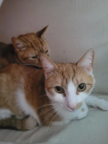 Oliver & Jim