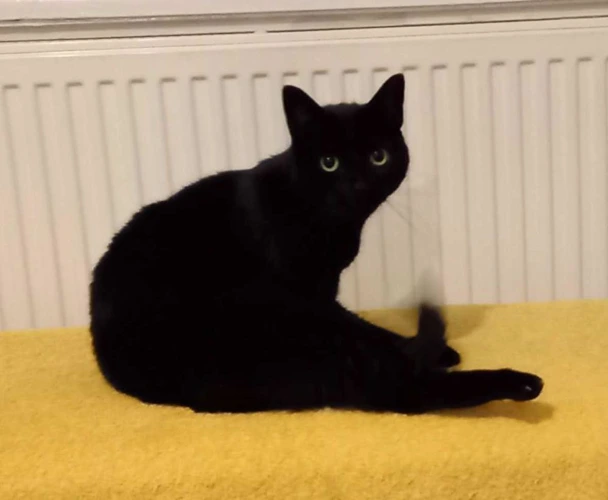 Salem