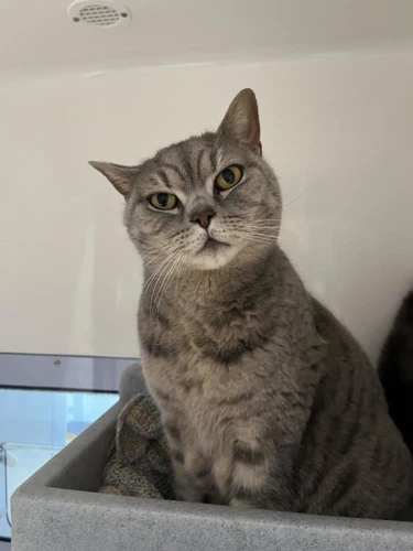 Chloe