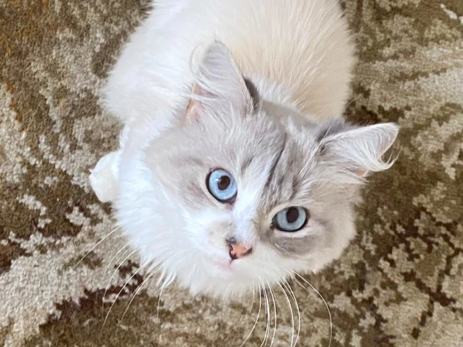 Charlie