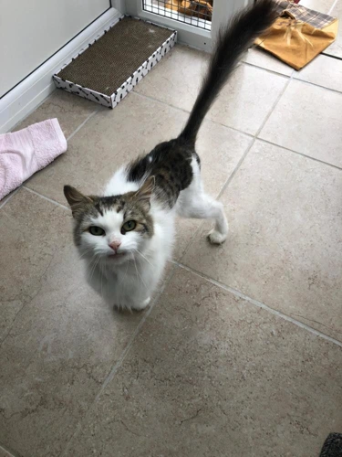 Delilah