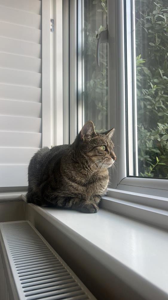 Bella