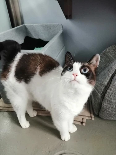 Bella