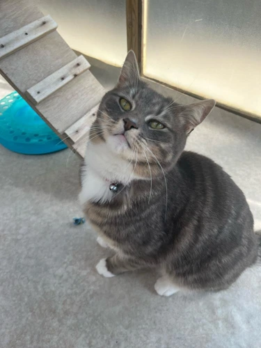 Perry