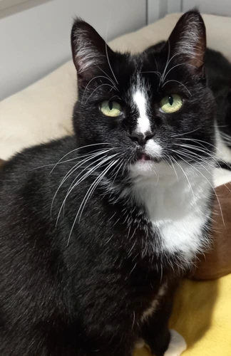 Matilda