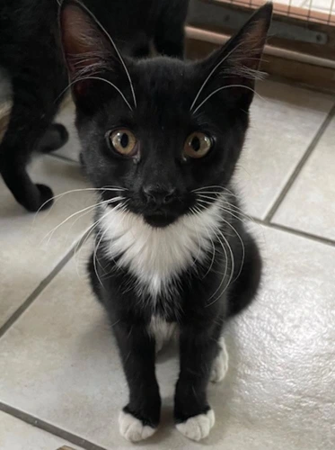 Luna