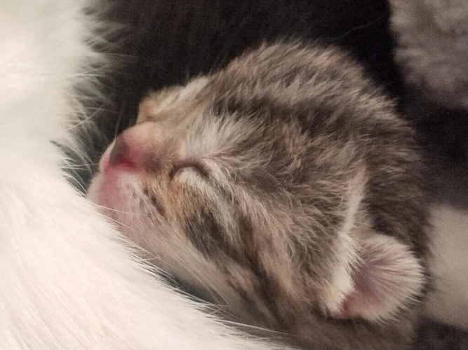 Abbie/Winnie