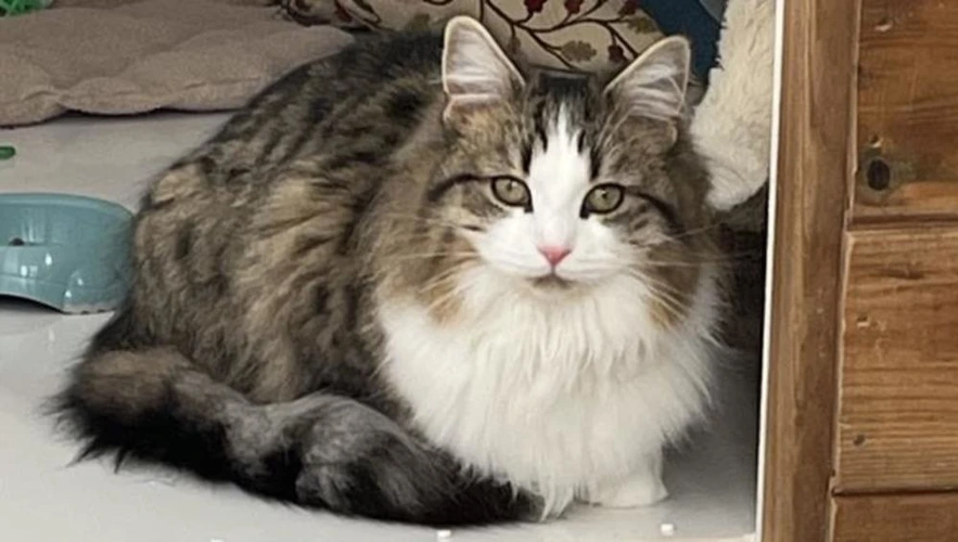 Bijoux