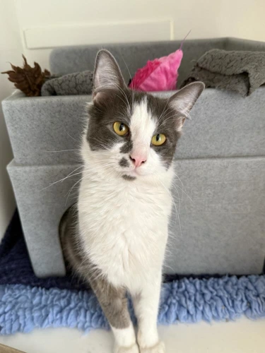 Mali