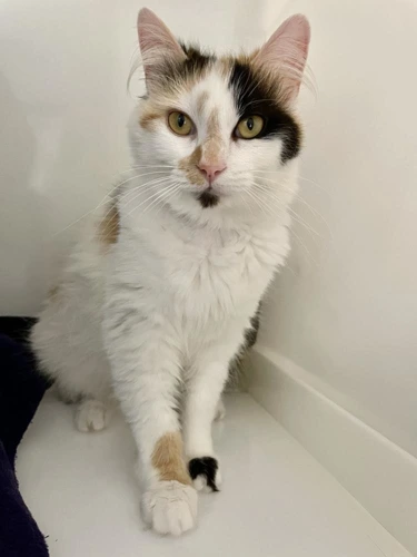 Marilyn