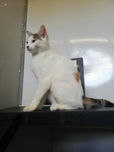 Sabrina