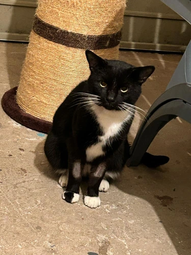 George