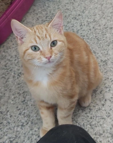 Zoe