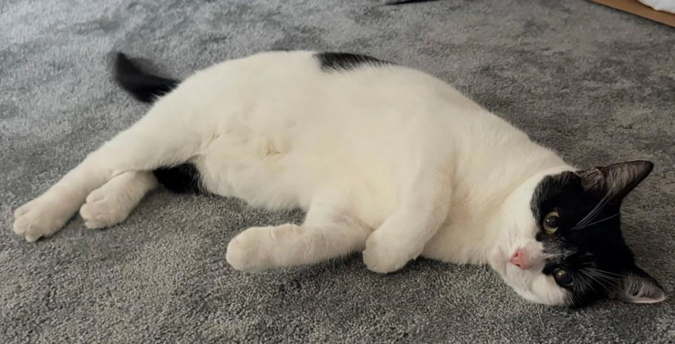 Luna