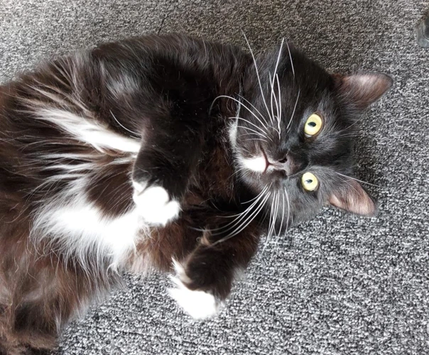 Kevin 3yrs old
