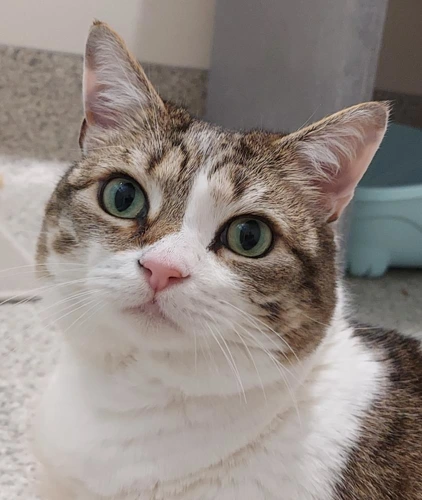 Doris 7y female