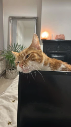 Pepa
