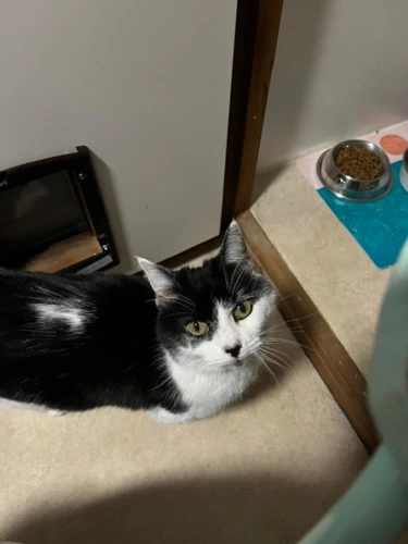 Sophie