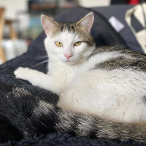 .OC - Terry 2y male
