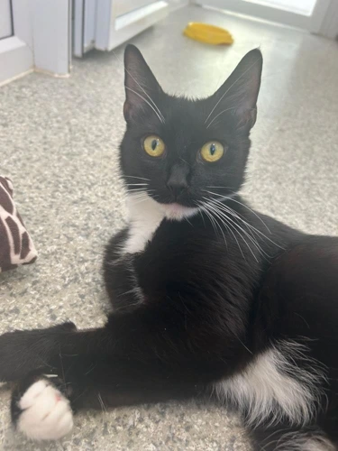 Rosie