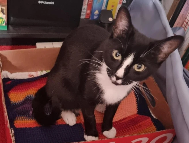Luna
