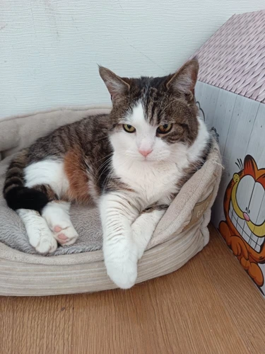 Max