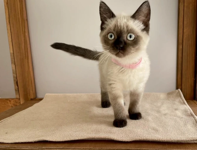 Margot