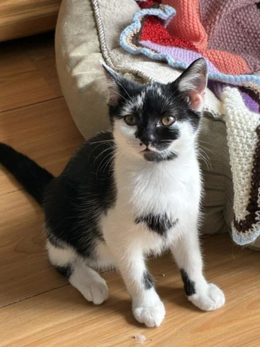 Oliver